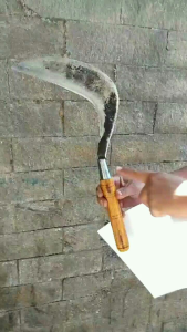 Arit baja cikajangan garut tea