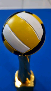 Basketball Volleyball Trophy 27cm height ceramic resin