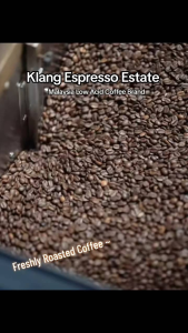 Malaysia Chocolaty Single Origin Coffee Beans | Freshly Medium Roasted | Klang Espresso Estate | Low Acid | Gentle on Stomach | Chocolate Notes | 100% Malaysian Single Origin