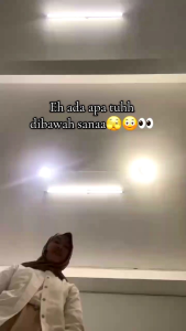 HAHONICO Lamei Hair Treatment Green Tea 300 gr