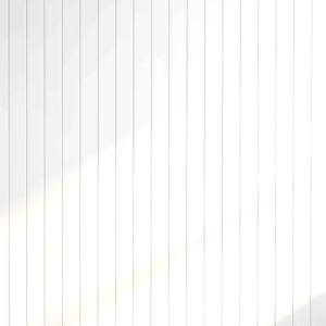 BRA SUPERSOFT BUSA TANPA KAWAT KAIT 2 CUP SEDANG SOREX 17238