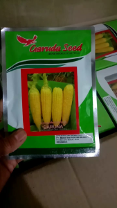 Benih jagung manis BARUNA isi 250 gram Garuda sed