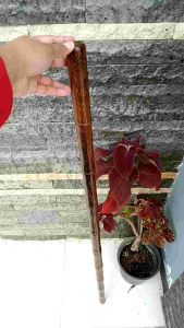 tongkat jalan kayu kelor jawa motif bambu lurus S07