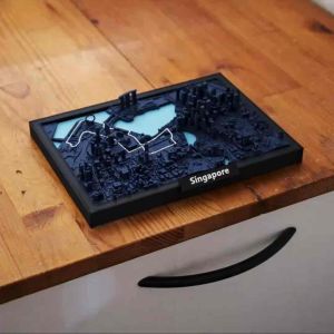 Singapore Formula One (F1) Night Track Art Collection Christmas Gift Idea