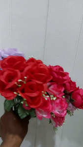 Bola Cabang Rose 6 Menir: Tips dan Trik