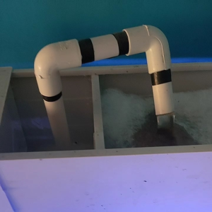 filter talang aquarium termurah size 30 cm40cm 50 cm 60 cm 70 cm