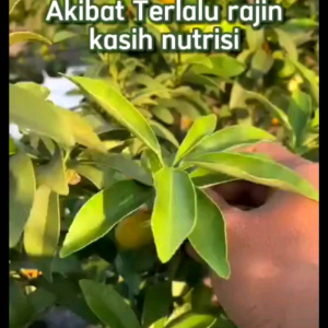 Kas Farm - Raja Pupuk Organik Cair Tanaman Sayuran & Buah 500ml