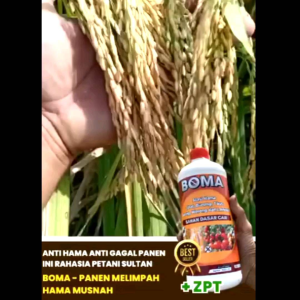 PUPUK BOMA BOOSTER PEMBASMI HAMA ORIGINAL PALING EFEKTIF DAN MENGANDUNG ZPT / isi 1Liter