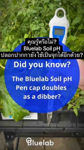 Bluelab Soil pH Pen ตรวจสอบค่า PH สำหรับดิน