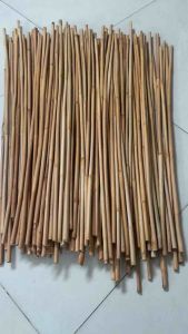 COMBO 3 CÂY MÂY DẺO DAI TRANG TRÍ