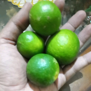 Jeruk Nipis 500gram asem segar alami asli fresh lokal murah | lime 500 gram - laladonbgr