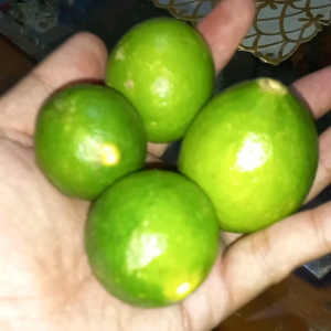 JERUK NIPIS 1 KG PERAS ASLI UNTUK DIET PROMIL