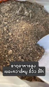 (2ถุง50)(5ถุง100)ขี้นกกระทา ขนาดประมาณ 1KG. ไนโตรเจนสูง 9% ธาตุอาหารเยอะกว่าขี้หมู ขี้วัว ขี้ไก่