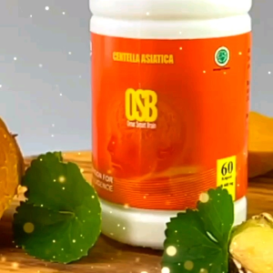 Osb omar smart brain Untuk Vertigo/migrain Dan vitamin kecerdasan otak isi 60 kapsul ORIGIONAL