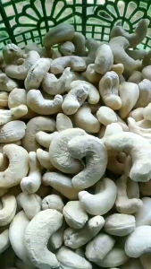 grosir kacang mete wonogiri 900g fress mentah