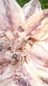 Mực khô size 50 - 60 con /kg  hàng loại 1 mềm ngọt đặc sản Nha Trang