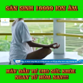 Bút ANION EMITTER Thiết bị tạo ion âm. 