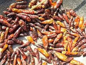 พริกป่น พริกกะเหรี่ยง คั่วเตาถ่าน ขนาด 20กรัม ไม่ใช้สารเคมี