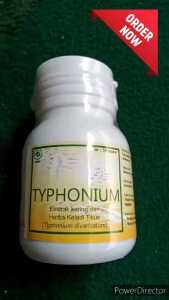 Typhonium (Obat Herbal) Anti Kanker / Obat Kanker Stadium Berapapun