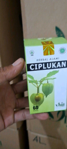 Kapsul Ciplukan Original CV.inayah dengan hologram isi 60 kapsul