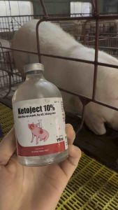 100ml Ketoject 10% - hạ sốt giảm đau kháng viêm trên chó mèo gia súc gia cầm