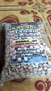 GROSIRRR 1 KG   BENIH KACANG TANAH SUPER GAJAH VARIETAS