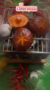 เห็ดหอมปลอม วัสดุผลิตจากยาง สวยงามเหมือนจริง ราคาต่อ 1 ชิ้น ขนาดกว้าง 4.5 ซม. สูง 0.5 มิลลิเมตร