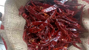 CABE MERAH BESAR KERING KWALITAS SUPER
