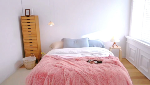 Selimut Bulu Halus Premium: Pilihan Terbaik untuk Kesejahteraan Hewan