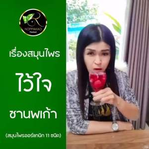 ชาสมุนไพรนพเก้าพลัส ชานพเก้าพลัส สมุนไพรแท้ 11 ชนิด เบาหวาน ไขมัน ความดัน ทานได้ สมุนไพรดูแลสุขภาพ ชนิดชง ชงได้ทั้งแบบร้อนและเย็น เบาหวาน ไขมัน ความดัน ทานได้ ของแท้100% จากบริษัท จัดส่งเร็ว