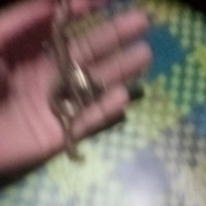 Warisan Leluhur: Kris Nogo Liong & Koleksi Senjata Tradisional