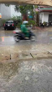 Bàn chải chà rêu 30cm có đầu nói inoc