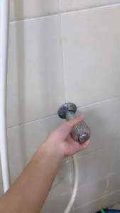 Lips Spon Mandi 40 Gr BATL001