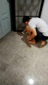 ป้องกันหมาแมวฉี่ที่ไม่เป็นที่ควบคุมบริเวณ 500 ml สุทธิ