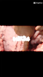 ผงหมักหมูย่างโกจิ้ว ขนาด 300 กรัม หมักหมูได้2-3กิโล