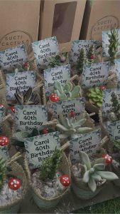 Party Pack Cactus Succulent Mini Pot in Woven Cloth Door Gift Ribbon Lace Decorations Set Souvenir Cenderahati Kain Guni