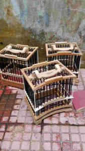 Sangkar Untulan Kayu Jati Asli Gratis Karpet Alas untuk Sogon Konin Ciblek dll