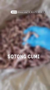 Sotong Kering Cumi Grade A
