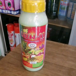 เอ็มทู 1ลิตร/500ซีซี ช่วยติดผลดก ใบเขียว เนื้อแน่น ช่วยให้ขั่วดอกเหนียว