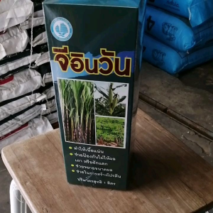 จีอินวัน ( 3 in 1 ) ปุ๋ยเคมี ฮอร์โมนพืช ครบสูตรบำรุง อ้อย มันสำปะหลัง ข้าวโพด ลำต้นใหญ่ แข็งแรง เพิ่มผลผลิต ขนาด 1 ลิตร
