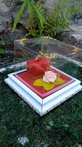 TEMPAT CINCIN BUAT TUNANGAN PRODUKSI JUNIOR MAHAR