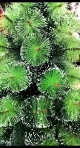 Pohon Natal Jarum Bicolor Salju Rimbun Tebal Tinggi 7 Feet/210 cm Real Pict