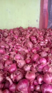 2kg BAWANG MERAH Super Premium untuk Bumbu Isi