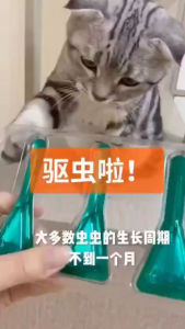 Ubat Kutu Tujuan Umum untuk Anjing dan Kucing Pet Flea Drops 0.5ml-2ml General Purpose for Dogs and Cats宠物跳蚤滴剂0.5-2毫升猫狗通用