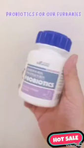 80pcs Vitamin Untuk Kucing et Suplemen Anjing Vitamin Kucing Multivitamin Probiotik Kecantikan Rambut Kalsium Tulang Borammy Pet Dog Supplement Cat Vitamin Multivitamin Probiotics Hair Beauty Bone Calcium