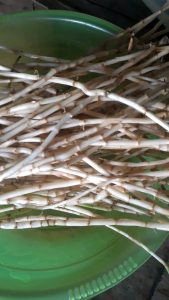 Penggunaan Tanaman Akar Ilalang & Eurih Basah