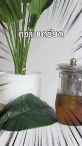 ชาสมุนไพร ตราฉลอง สูตรสมุนไพรไทย ช่วยให้หลับง่าย หลับลึก หลับสนิท ผ่อนคลาย และ ช่วยชะลอการเสื่อมของไต ( บรรจุกล่องละ 20 ซองชา)