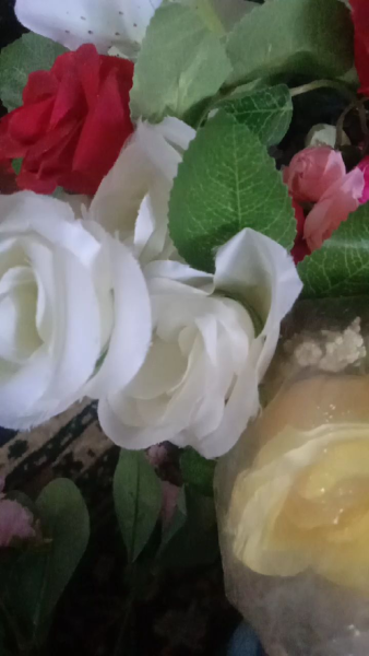 Buyer review video 3