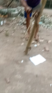 Coper Cacahtulang Kayu & Bambu: Mengenal & Mengoptimalkan