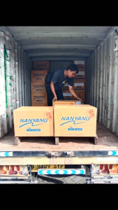 Sepatu takraw Nanyang Asli 100% Thailand